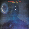Tubeway Army Down In The Park 12 inch Front Sleeve